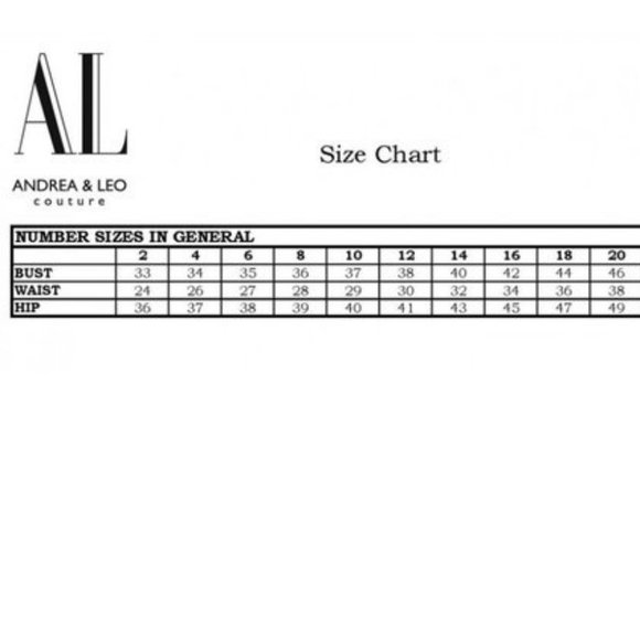 BLUE CONSTELLATION DREAM SWEETHEART EMBROIDERED TULLE BALLGOWN CORSET BACK A0890 - Picture 2 of 11